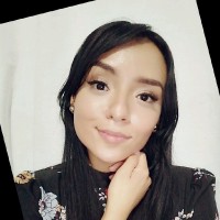 Brenda Villalobos Labra