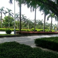 林鹏羽