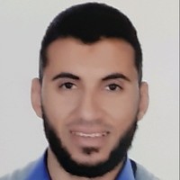 Amr Ali