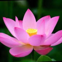 Gayathri R