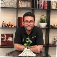 Karim Hesham