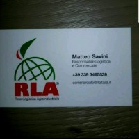 Matteo Savini