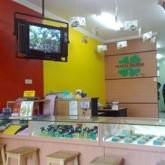 veneta tanjungbarat