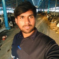 Aneeb Hassan Khan