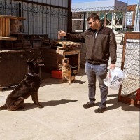 Mehmet Yasin IŞILDAR