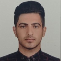 Navid Nezamivand chegini