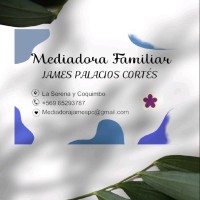 JAMES PALACIOS CORTES