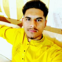 Muhammad Hamid Raza Butt