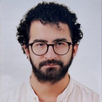 Alperen Ergin