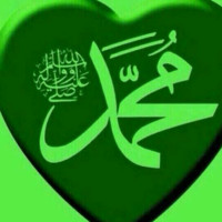 Amal Hamid