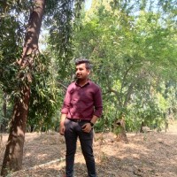 Shreedhar Shewale