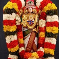 Madde Lohitha