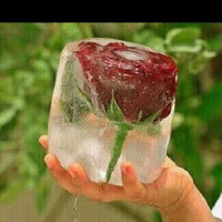 عروقي تحتويك