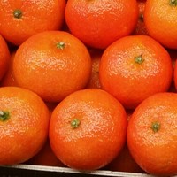 Maria José Franch Orenga