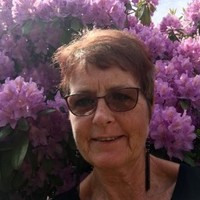 Elaine Tibell