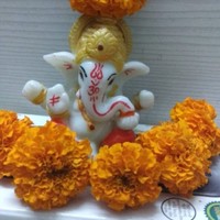 Sakshi Varade
