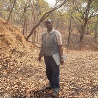 David Amon Ngosa