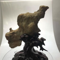 戴吉凯