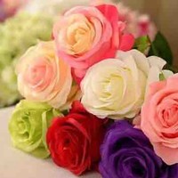 Ahmed Abbas
