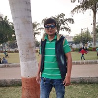 Ankur Ramoliya