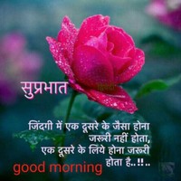Rav Ashish