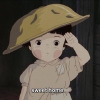 沈丹萍