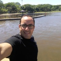 Flávio Vieira