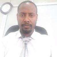 Alemishet Gurmessa