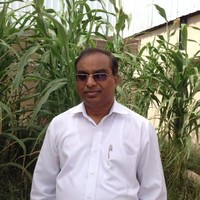 Varghese Mathew