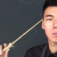 Sylar Chaoyuan Wang