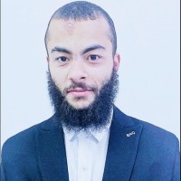 hamed mahmoud