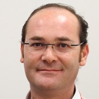 Andrea Forini