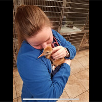 Kaitlyn Ott, Cvt
