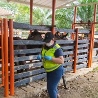 Martha Cecilia Pérez Barbosa