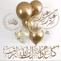 Hamza Ammour