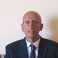 Mahmoud Hassan Abouleila,Pmp®