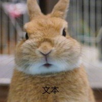 马晓勇