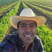 Roberto Hernández Arteaga