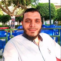 Amr El-Nabawy