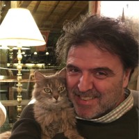 mehmet iyigungor