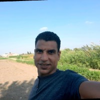 Aly Rayan