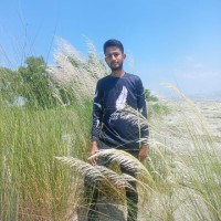Freelancer Md Parvez