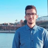 hamza Saidi