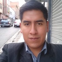 Raul Roberto Ortiz Loayza