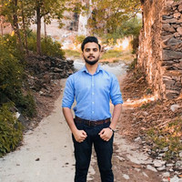 Muhammad Tamoor Salman