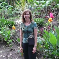 Lynn Wells Msw, Lisw