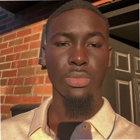 Cheikh Ahmed Tidiane Diallo