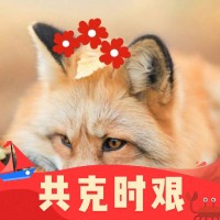 曾靖雯