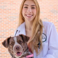 Ruth Pentlarge Barrow, DVM