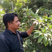 Arun Mavi